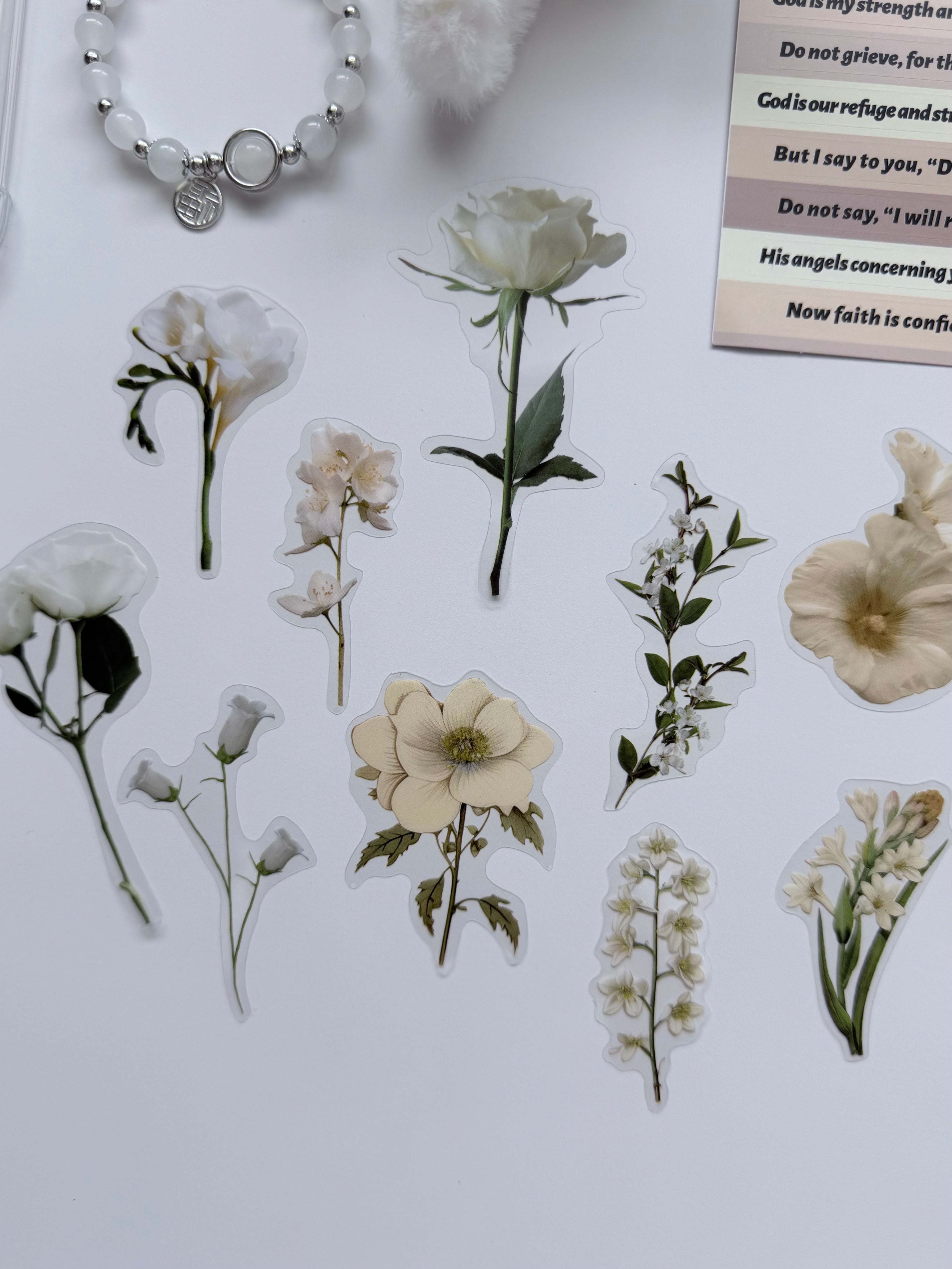 White Garden Set🕊️